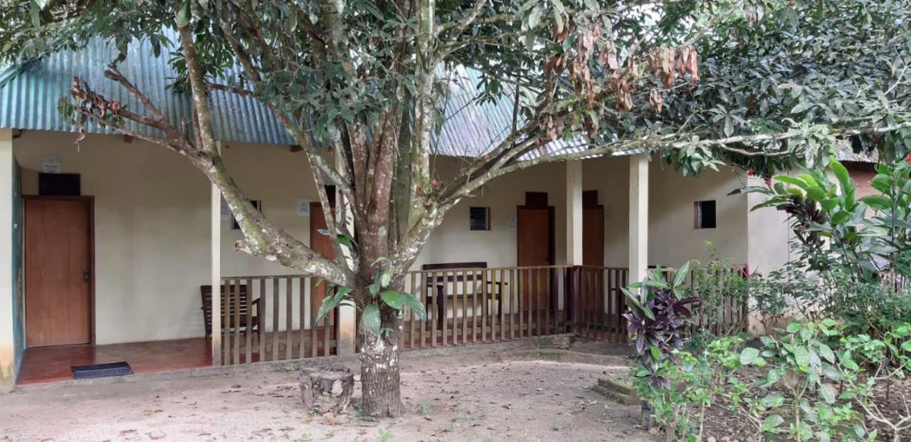Hotel Centro Ecoturistico Ya'Ajche Lacanjá Exterior foto