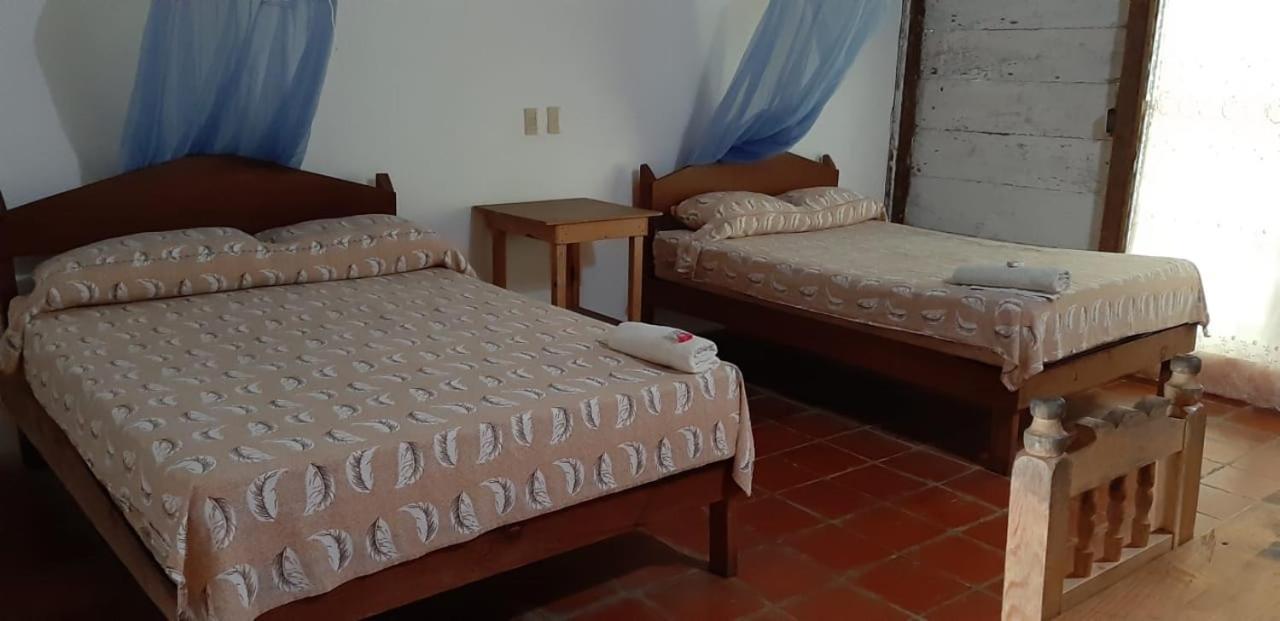 Hotel Centro Ecoturistico Ya'Ajche Lacanjá Exterior foto